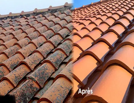 Nettoyage de toiture Saint Denis de Pile Gironde